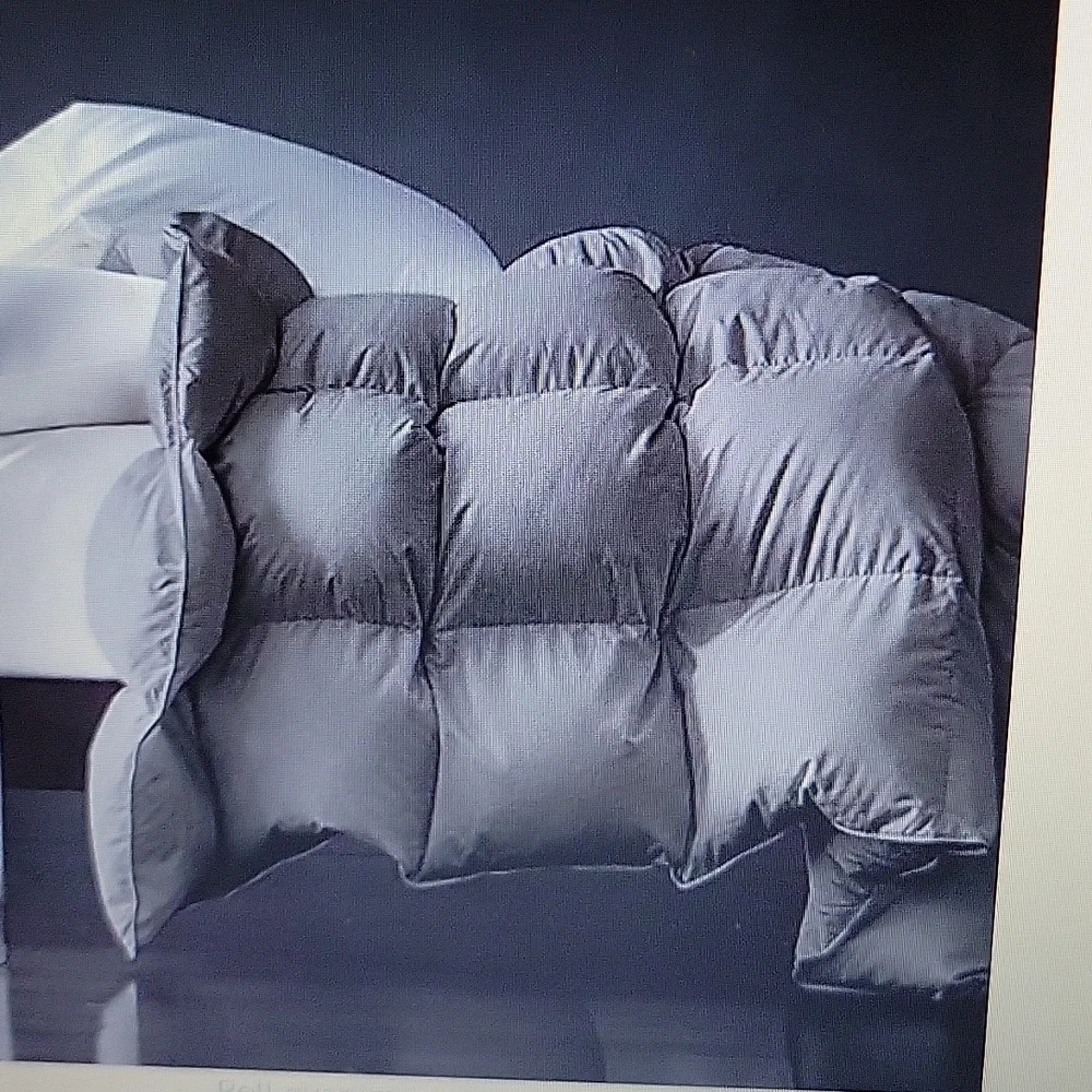 Royoliving Gray premium waterfowl feather down comforter Twin All Season…New